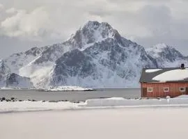 Polarhagen
