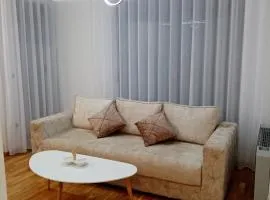 Apartman P&N Stara Pazova