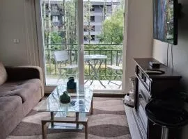 Refugio de Paz y Naturaleza en Pucón