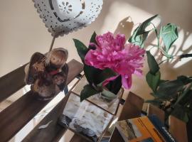 Cazare Clara Cluj，位于克卢日-纳波卡的酒店