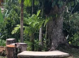 阿戛潘萨小屋住宿加早餐旅馆