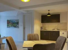 Fortuna Apartments - Berovo