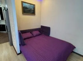 Центральний парк Квартира з балконом