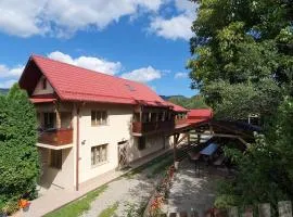 Cabana Muntele Paltinei