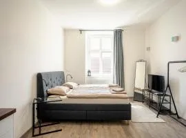 Apartmány Palackého