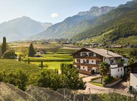 Apartment Steinach，位于拉古多的酒店