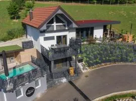 Villa in the Vineyard with Pool, HotTub & Sauna