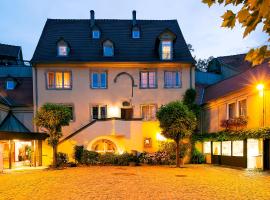 Hotel & Spa A la cour d'Alsace by HappyCulture，位于奥贝奈的酒店