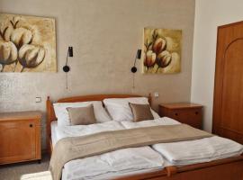 Apartmán so vstupom do privátneho wellness a výhľadom na hrad，位于特伦钦的酒店