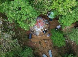 A la bulle étoile 82