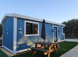 הבקתה של גדי