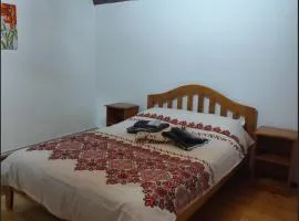 Torok Adrian Mihail PFA