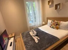 Charme et Confort : T2 Lumineux