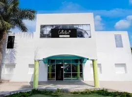 Collection O Walajapeti Vellore