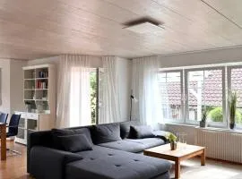 Ferienwohnungen Archie oder Lilli,Nähe Europa Park, Strasbourg, Schwarzwald