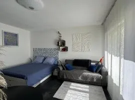 Appartement bien-être avec jardin, jacuzzi, sauna & massage entre Bourges et Sancerre