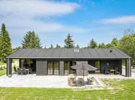 JB330-Fjerritslev-Perikumvej-12