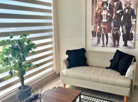 Maravilloso y central departamento，位于奇廉的宠物友好酒店