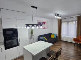 Concept Luxury，位于梅迪亚什的酒店