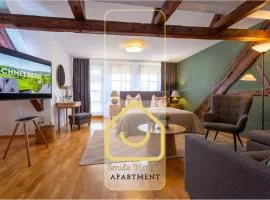 NEU - Dachsuite - Sauna - Terrasse - 4P - Frühstück buchbar