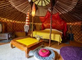 Reijgershof - Yurt Experience with garden view