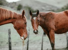 The Nest，位于Tasman的酒店