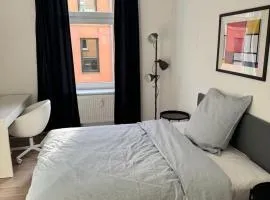 Modern single room apartment in the city center