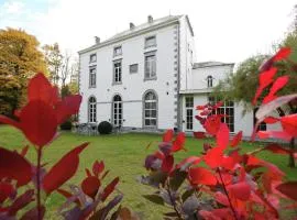 Luxurious Mettet Mansion