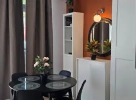 Apartamentos Vicent Clavel