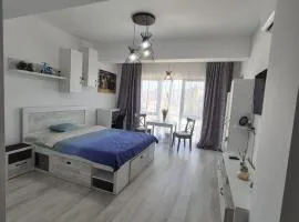 Antiaeriana Sunhouse