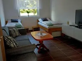 Apartmán u Přívozu