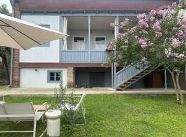 Entire House & Garden - Chokhelis' Telavi Retreat，位于泰拉维的酒店