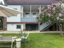 Entire House & Garden - Chokhelis' Telavi Retreat