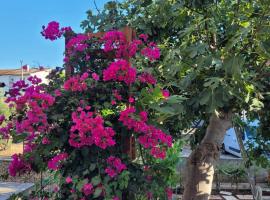 Harizma，位于普利莫顿的酒店