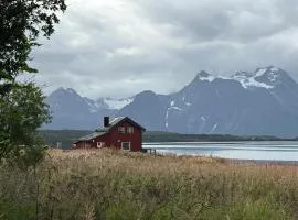 Lyngen Biarnes- Nordreisa