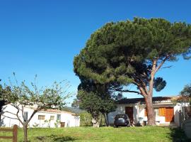 Casetta Patrizia，位于Capo Comino的酒店