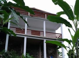 Casa Augusto Stunning view，位于Trindade的酒店