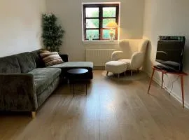 Cozy house with garden