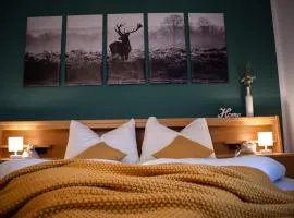 Nock Apartment Dolomites in South Tyrol - Italy