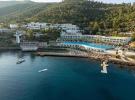 Blue Dreams Resort Bodrum - Aquapark & Ultra All Inclusive，位于托尔巴的酒店