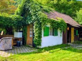 Donauhaus - Natur, Kultur, Entspannung & Sport