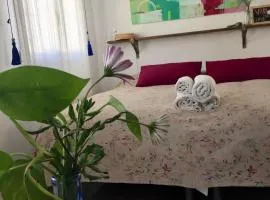 Casa Baraka
