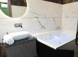 park amber，位于希萨尔的酒店