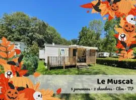 Le Muscat - bungalow pour 5 - TV - Clim