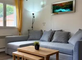 Spacious & cozy - Vue Montagne