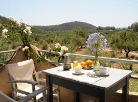 Nefeli Studios，位于瓦西的酒店