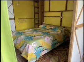 Le Fare de Raiatea l'île sacrée