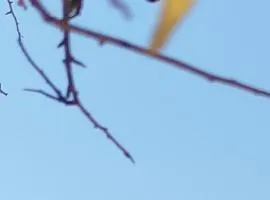 Nereids Apartments-Pronoe