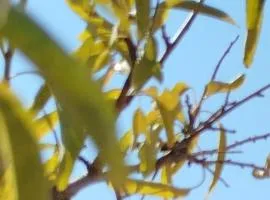 Nereids Apartments-Thetis