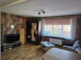 Comfy apartment in the center of the city